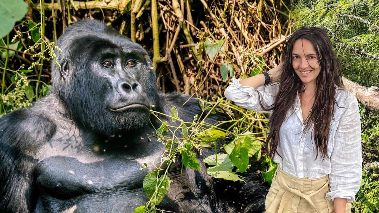 48 Hours Tracking Mountain Gorillas in Bwindi, Uganda