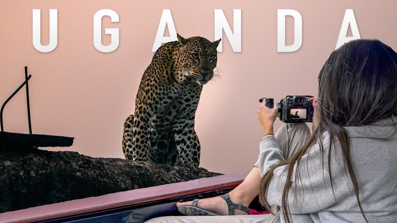 Murchison Falls, Uganda - Africa’s Most Underrated Safari Destination!