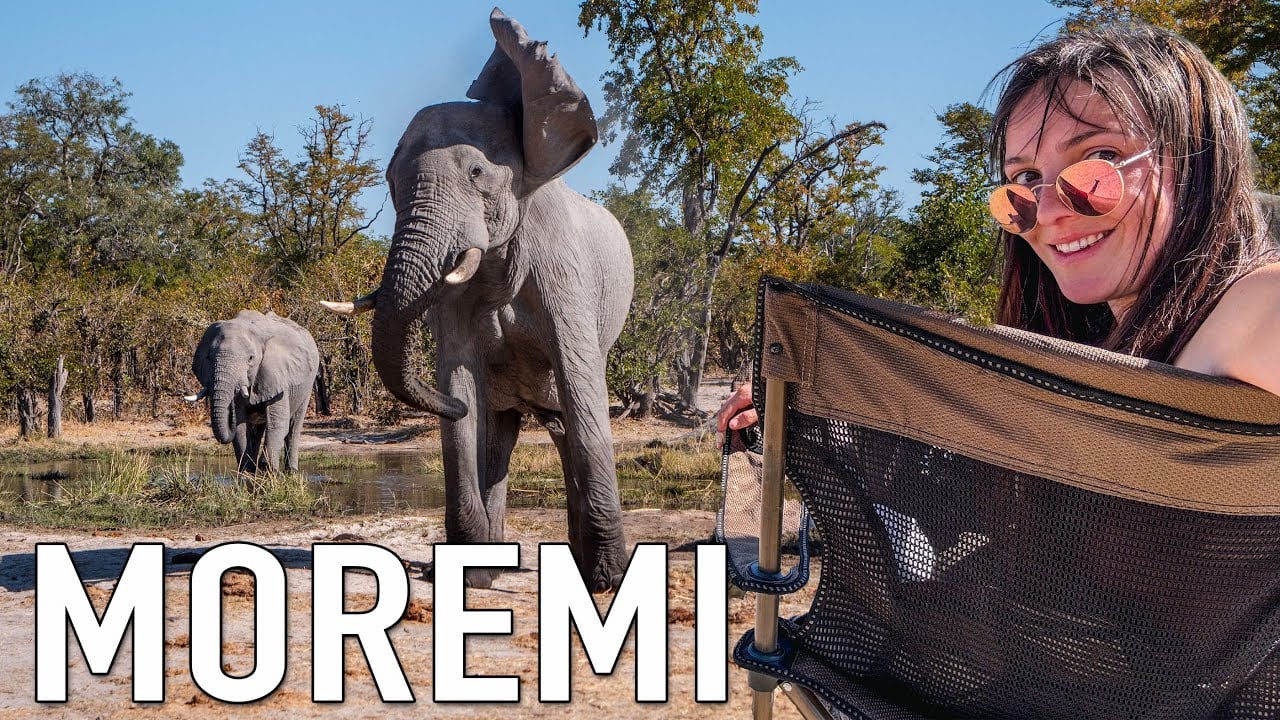 Is An Okavango Delta Safari in Moremi, Botswana Worth It?