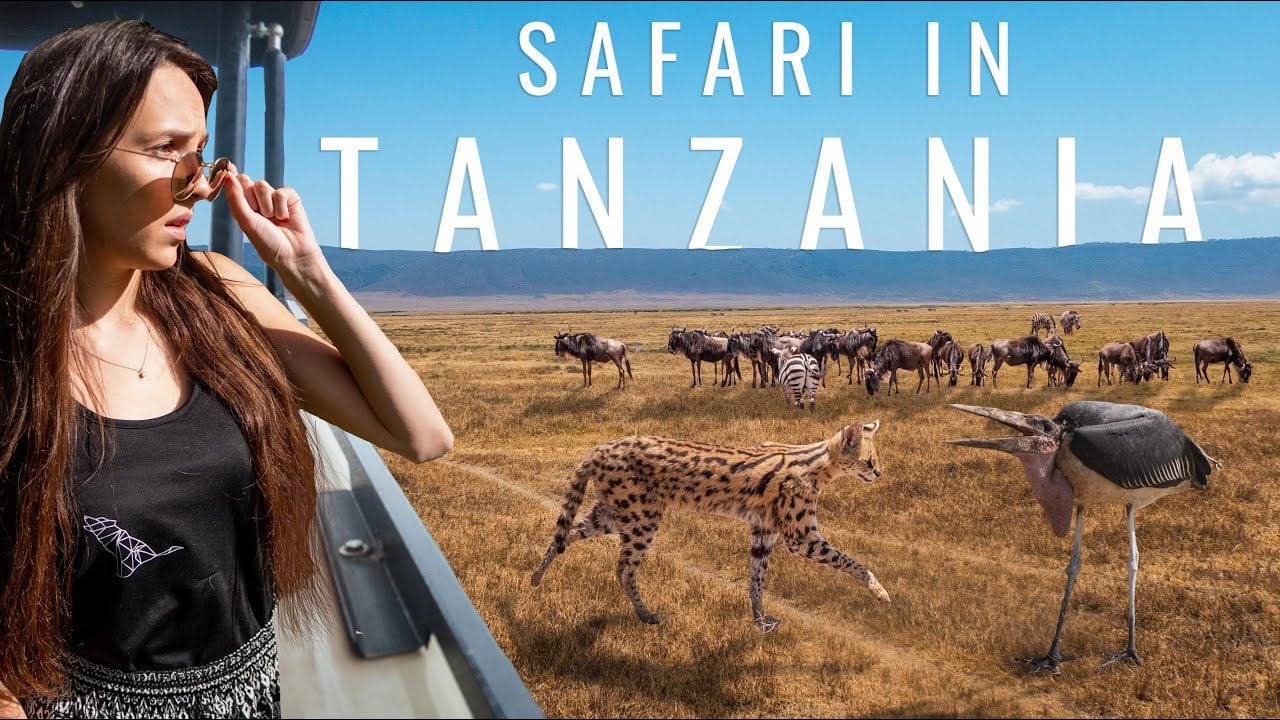You Won't Believe What Happened on our Tanzania Safari (Ngorongoro Crater)