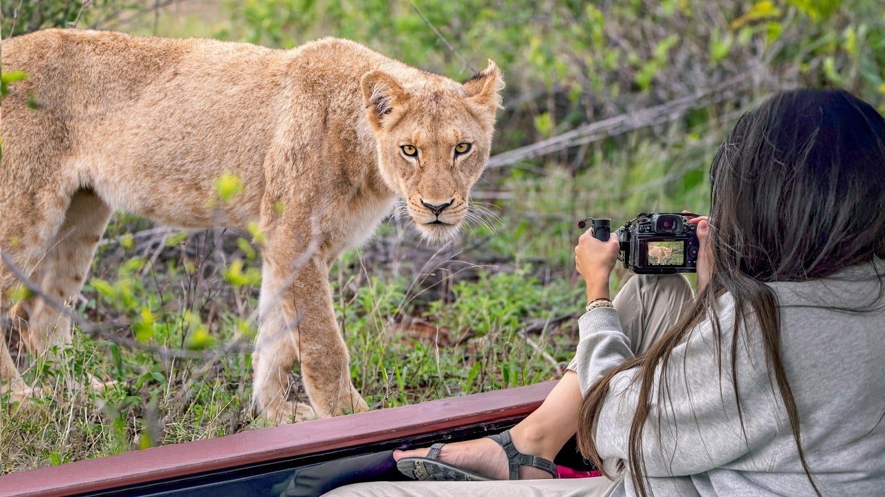South Africa's Most Underrated Safari Destination (No One Comes Here)