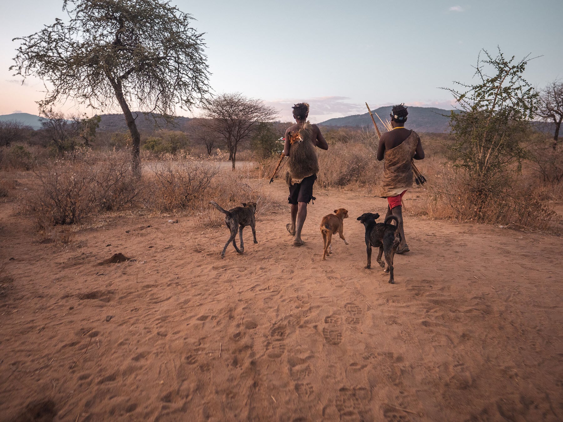 Hadzabe Tribe Safaris By Ella