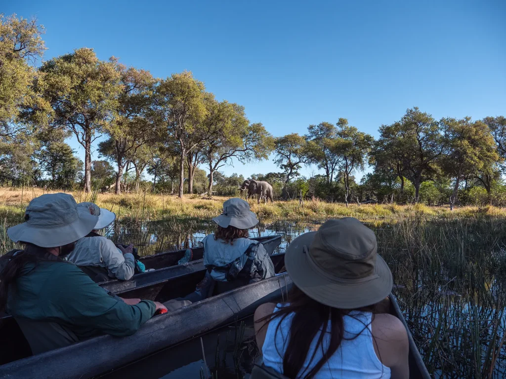 Elephant on a Mokoro boat safari in Khwai in Botswana